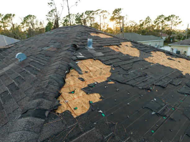 Best Green or Eco-Friendly Roofing Solutions  in Greenport West, NY